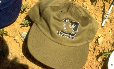 PLAY triceratops hat 1996